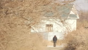 Мальчика-маугли нашли в камышах в пригороде Кызылорды (ВИДЕО)