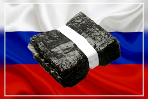 В России растёт спрос на морские водоросли ким