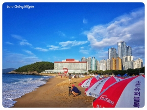 Купание в летний период в Южной Корее. Меры предосторожности.