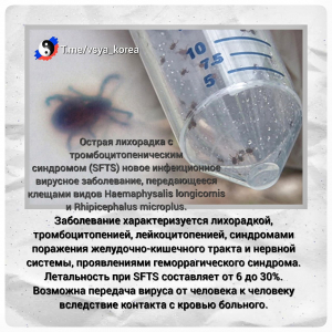 Хроника SFTS за последние годы