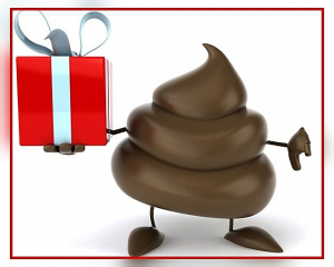 Южнокорейский туалет превращает экскременты в энергию и цифровую валюту