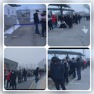 Хаос творится в Кенгидо при тестировании на COVID-19 иностранцев в центрах тестирования.