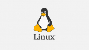 Южная Корея начнет переход на Linux с этого года