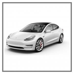 Tesla против Южной Кореи: новая торговая война для США?