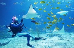 Aqua Planet Jeju 아쿠아플라넷제주