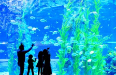 Lotteworld aquarium 롯데월드아쿠아리움