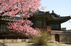 Дворец Чхандоккун 창덕궁