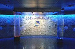 Coex Aquarium  아쿠아리움코엑스