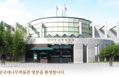 Музей бамбука в Тамъяне 한국대나무박물관