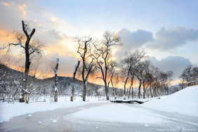 Зимний фестиваль Nami Island