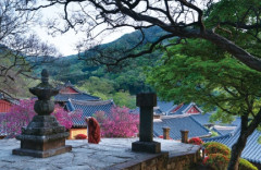 Буддийский храм Понынса в самом сердце столицы Кореи